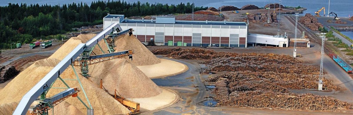 О бумаге внукам. Часть 2. Подготовка древесины